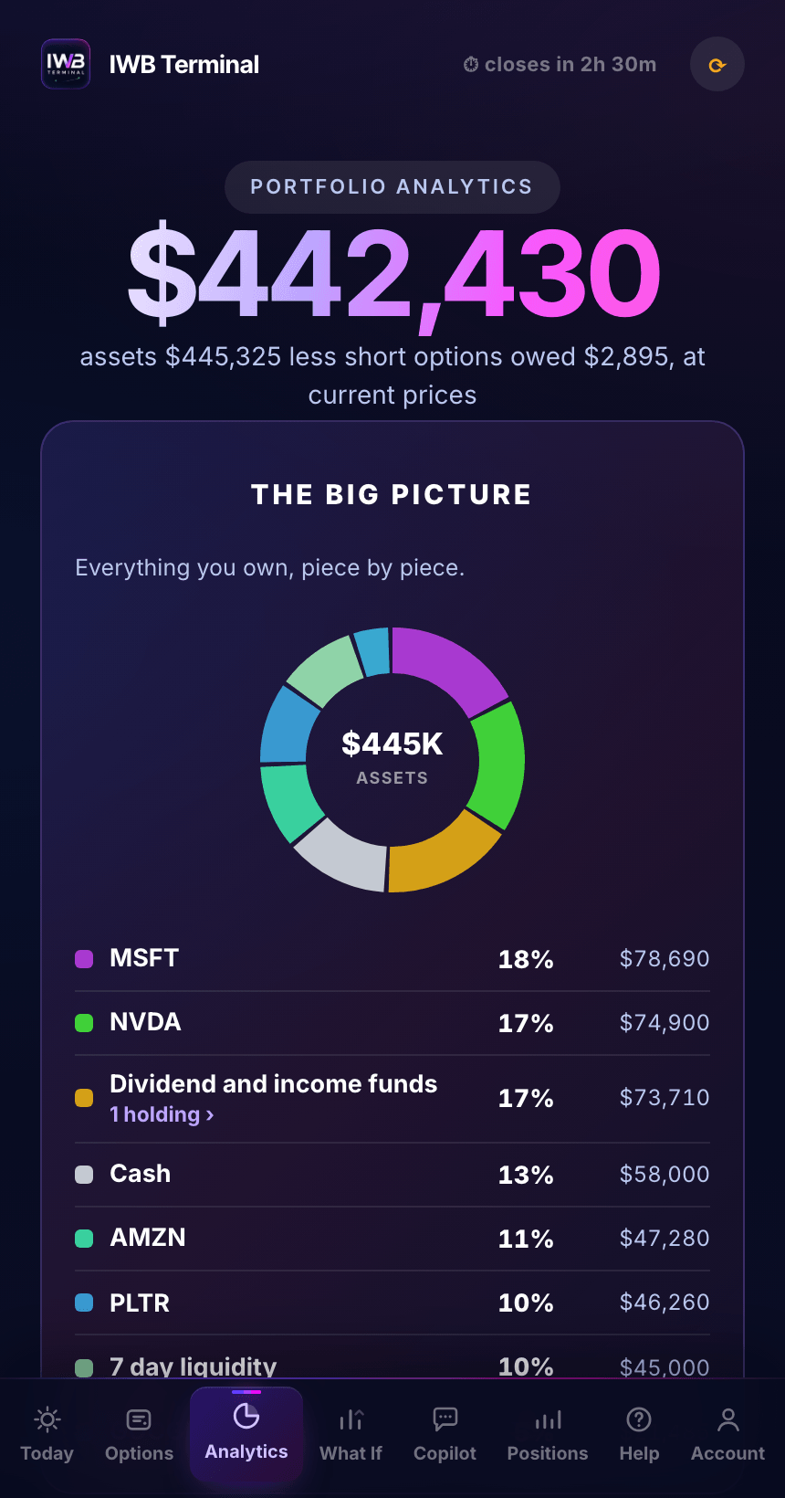 Analytics tab, allocation ring across every account