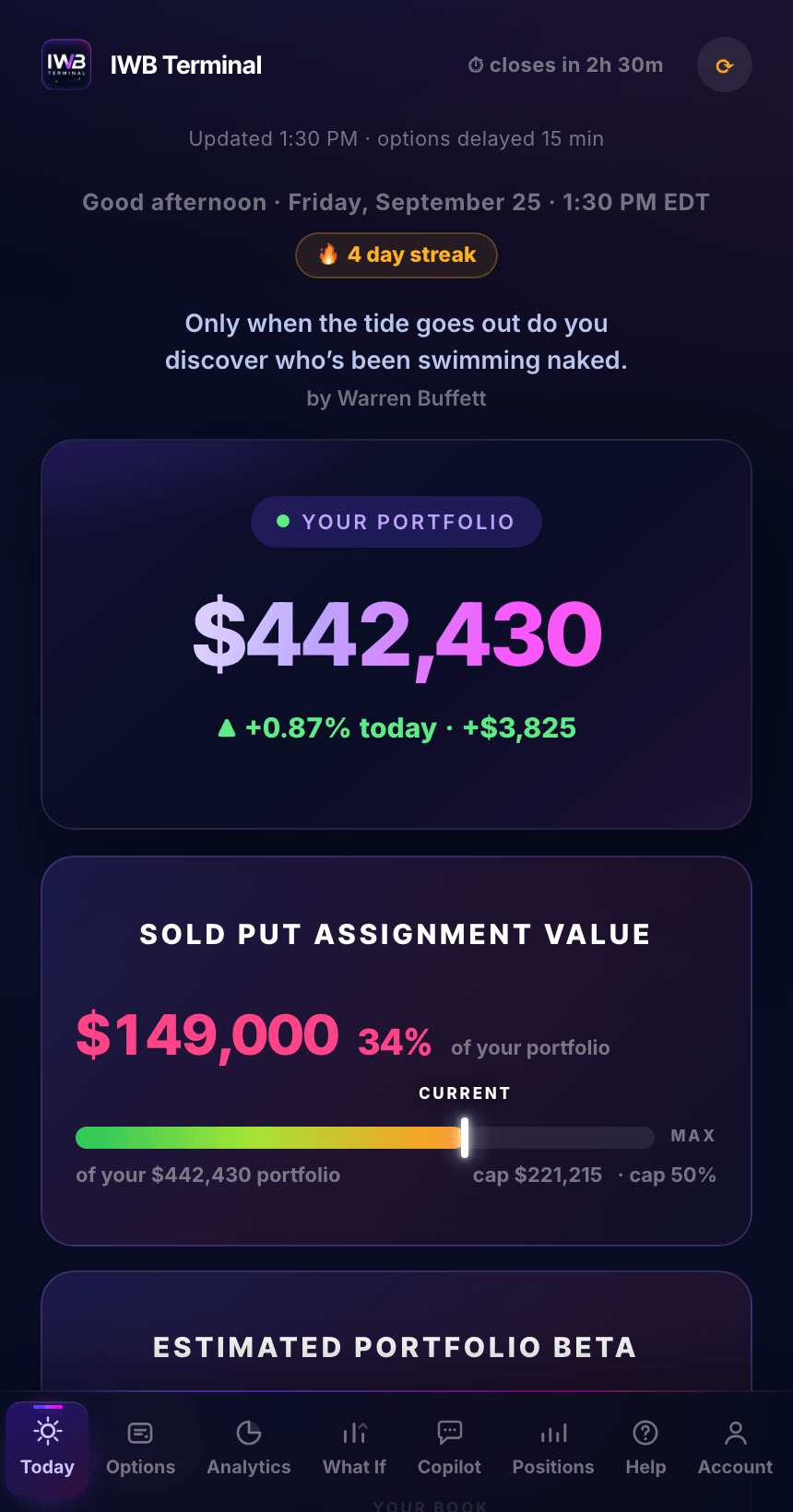 Today tab, portfolio total, day change and sold put assignment value